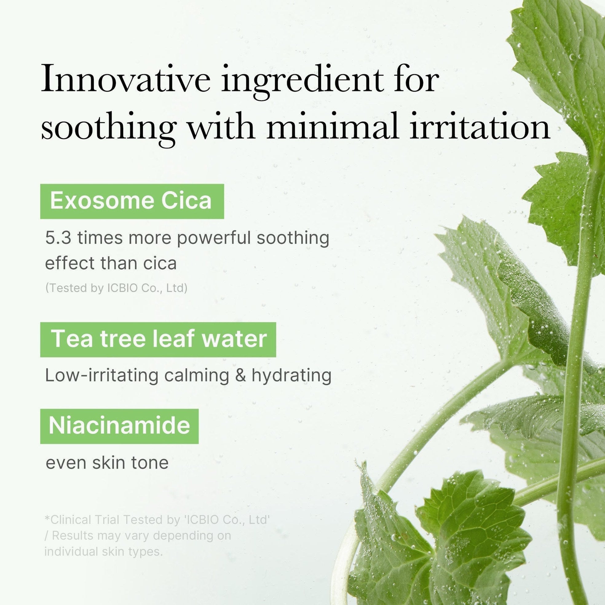 Exosome Cica Calming Toner Pads